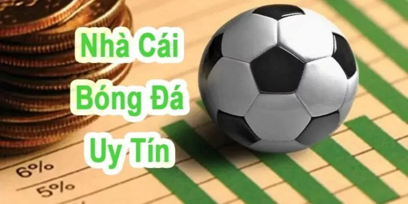 W88 nhà cái bóng đá hàng đầu